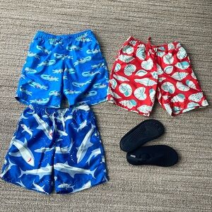 Hanna Andersson Boys Swim Trunks / Swimsuit (Lot of 3)